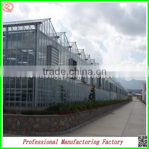 Polycarbonate Board Aluminium Garden Greenhouses From Factory Supplier