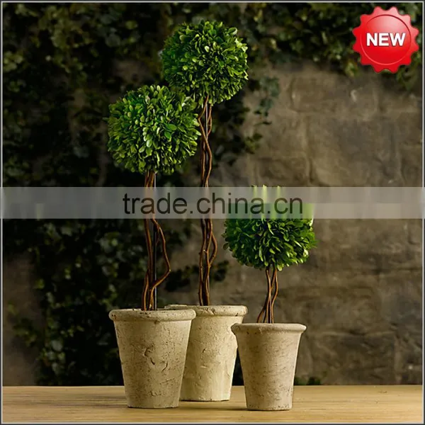 Decorative Potted Boxwood Ball Topiary