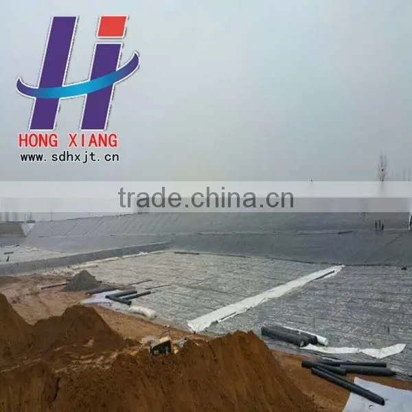 Water Proof Material Fish Equipment Fish Farm Swimming Pool Shrimp Farm HDPE Geomembrane photo-5