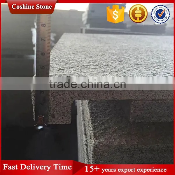 Natural Straight Edge Swimming Pool Coping Stone photo-3