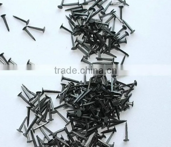 Concrete Steel Nails/galvanized Concrete Nails/concrete Anchor Nails photo-5
