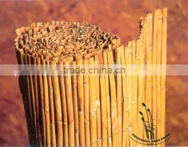 Natural Bamboo Reed Fence for Garden photo-3