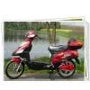 Electric Bike (CE)