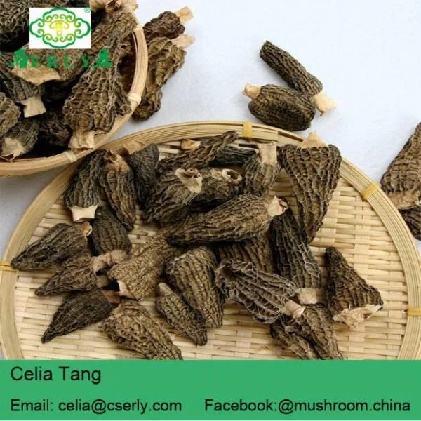 Dried Morels Morchella Esculenta