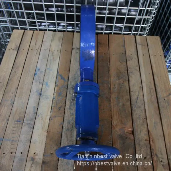 JIS Standard 5K10K Vertical Gear Solid Core Butterlfy Valve DN150 photo-3