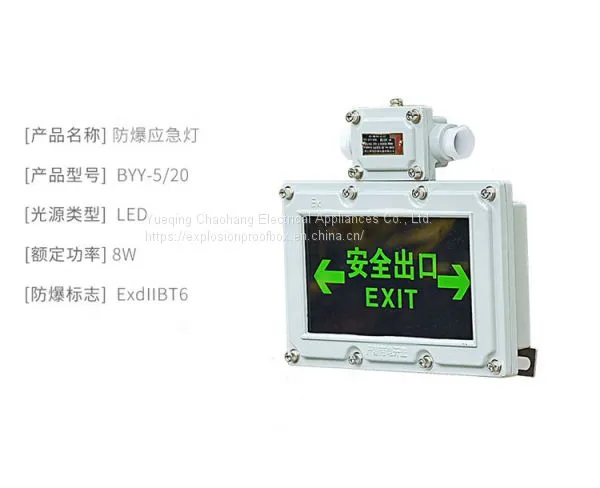 Explosion-proof Exit Lamp Explosion-proof Indicator Lamp BYY Evacuation Indicator Emergency Indicator photo-4