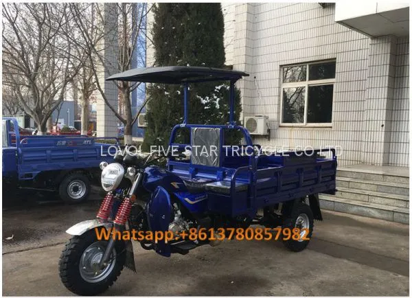 Gasoline Tricycle Cargo Loader Lovol Three Wheeler Mali Ethiopia Ghana Bukina Faso Tanzania Kenya Senegal Togo Benin Nigeira Mauritania Angola Burundi Chad Cameroon C ô te D'Ivoire Gabon Guinea Mozambique Rwanda Congo Uganda Zimbabwe photo-2