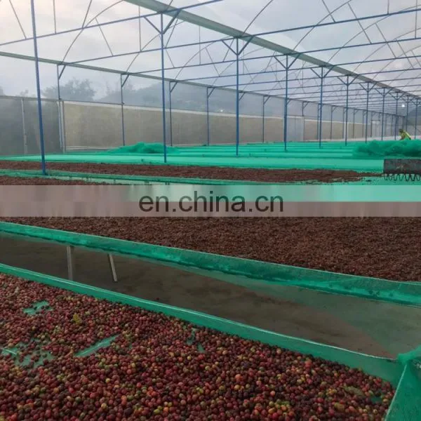 Coffee Beans photo-3