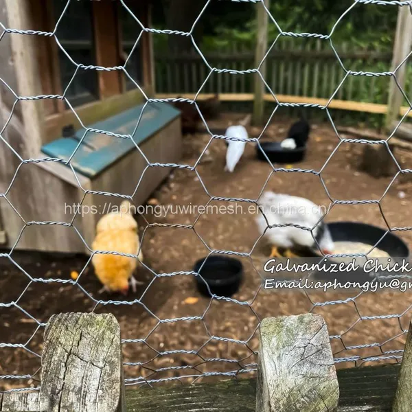 Chicken Wire Hexagonal Wire Mesh Chicken Wire Netting Wire Netting Poultry Fence Poultry Mesh photo-5