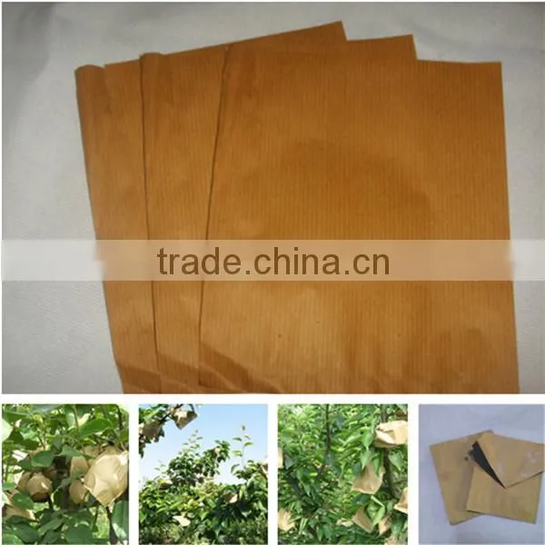 Paper Material Fruit Paper Bag photo-4