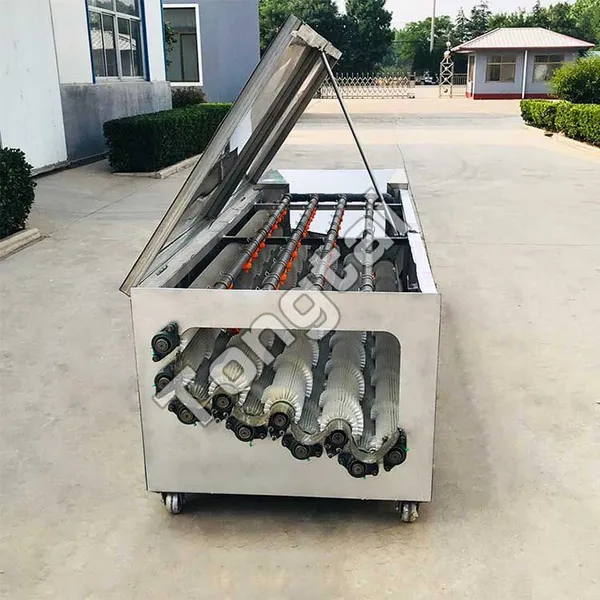 Daikon Cleaning Machine Automatic Radish Washing Machine photo-3