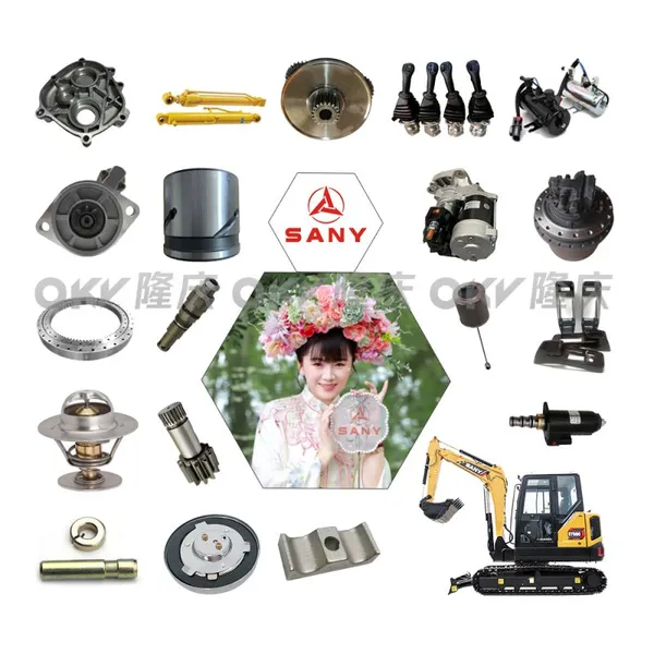 Jual Part SANY Excavator Asli Hydraulic Pump, Engine, Filter & Undercarriage Spare Parts OEM Supplier photo-2