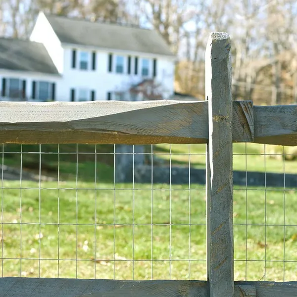 Hot Dipped Electro Galvanized Stainless Steel Welded Wire Mesh With PVC Coating photo-4