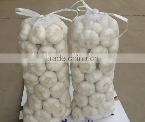 Pure White Garlic