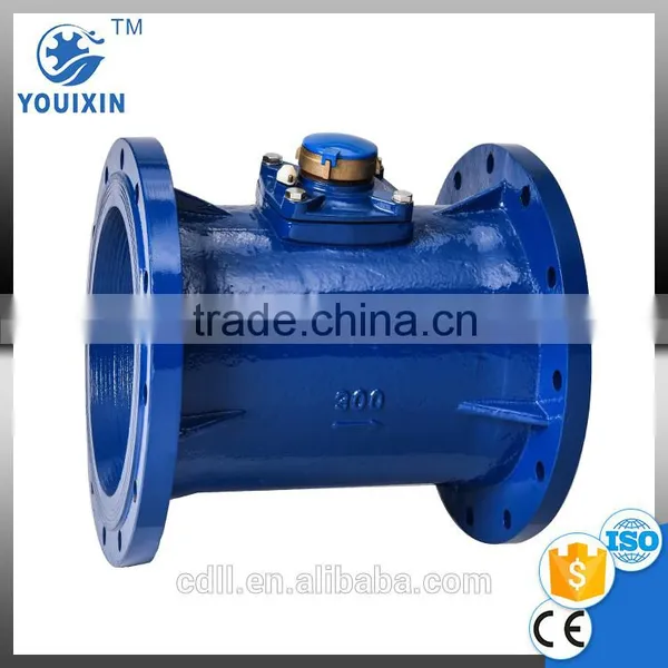 Removable Horizontal Waltman Water Meter