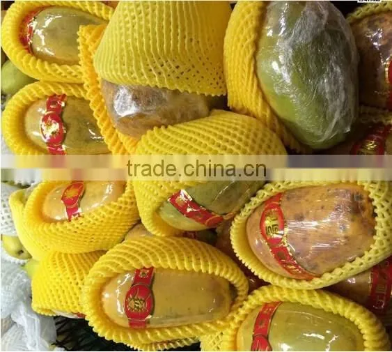 High Quality Soft Foam Net, Strawberry Net Wrappers, PE Foam Flower Bud Protective Netting photo-5