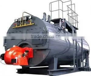 Gas Fired Boiler