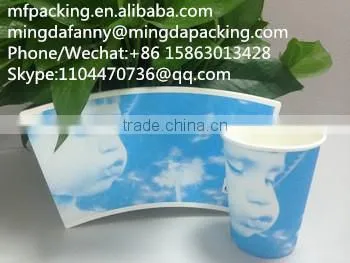 Chinese Manufacturer Food Grade pe Coated Disposable Paper Cup Sheet photo-5