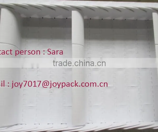 Modular Conveyor for Potato Chips photo-2