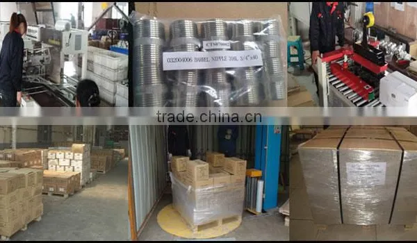 Stainless Steel Check Valve Pipe Fittings Manufactueeeered by KH Fititngs Corp. photo-5