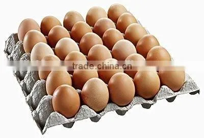 Shijiazhuang Egg Tray Making Machine /Paper Egg Tray Machine /pulp Molding Machine photo-2
