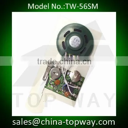 Slide Tongue Sound and Voice Module for Greeting Cards photo-2