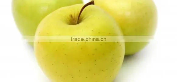 New Crop Chinese Fresh Sweet Golden Delicious Apple With Good Quality Quality Choice photo-5