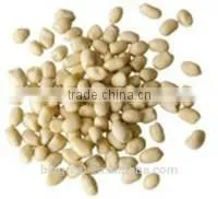 Supply Chinese Blanched Peanut Kernels Round for Sales photo-5