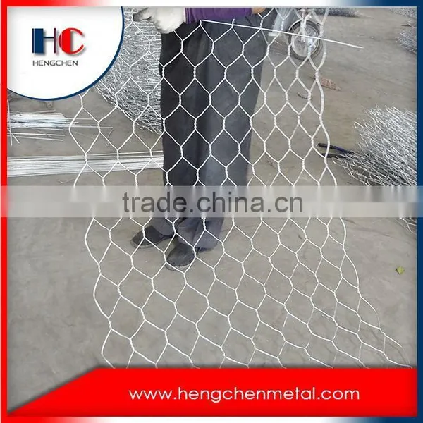 High Quality Guaranteed Galvanized Pvc Coated Low Carbon River Protection Pvc Coated Gabion Box photo-3