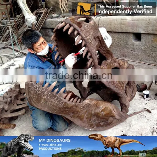 MY Dino-C085 Resin Dinosaur Head Skeleton photo-2