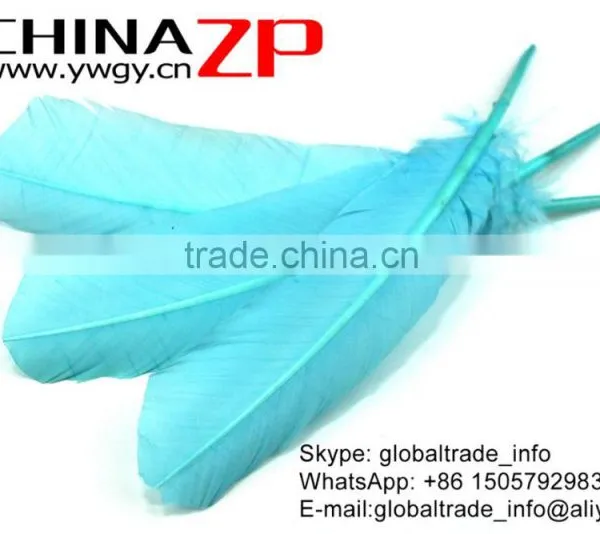 CHINAZP Feather Exporting Good Quality Dyed Light Blue Wild Solid Color Turkey Pointers Wing Quill Feathers photo-2