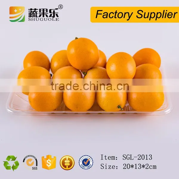 Cheap Clear Disposable PET Plastic Food Fruit Packaging Tray photo-3
