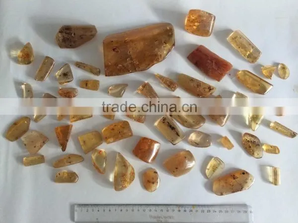 Colombian Amber (Copal) - Polished With Insects photo-2