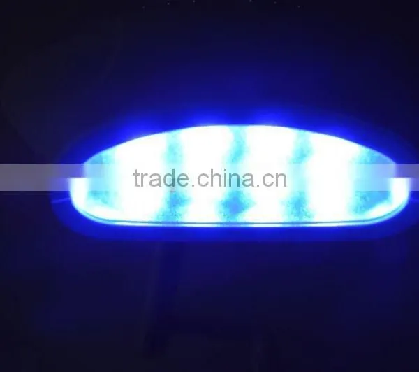 Factory Direct Wholesale Price Blue LED Lights Teeth Whitening Machine for Whitening Teeth photo-5