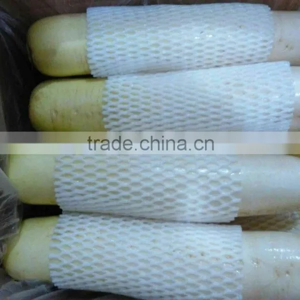 White Raddish Exporter photo-2