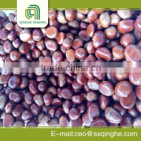 2015 New Crop Fresh Chestnut Inshell photo-5