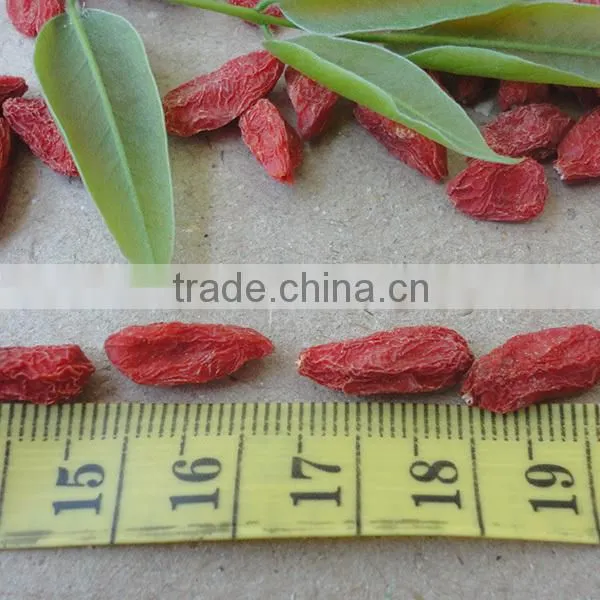 Goji Berry Farm Sale 380g/50 photo-5