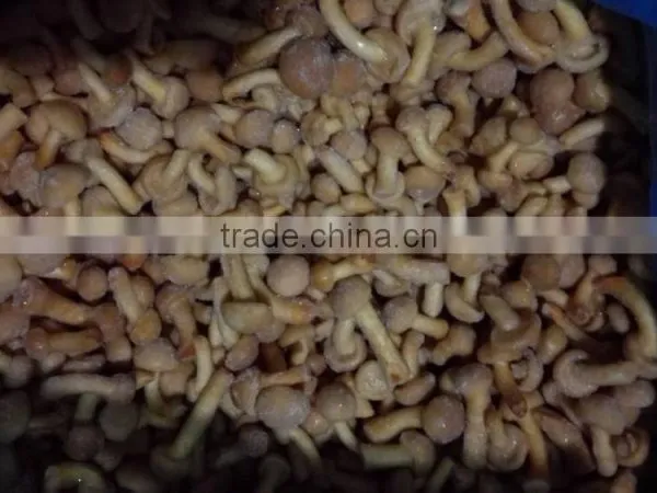 China Dried Mushroom With Stem photo-4