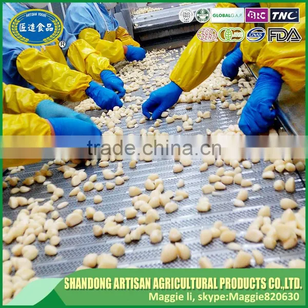 Shandong Frozen White Garlic Dice Can't Change Green photo-4