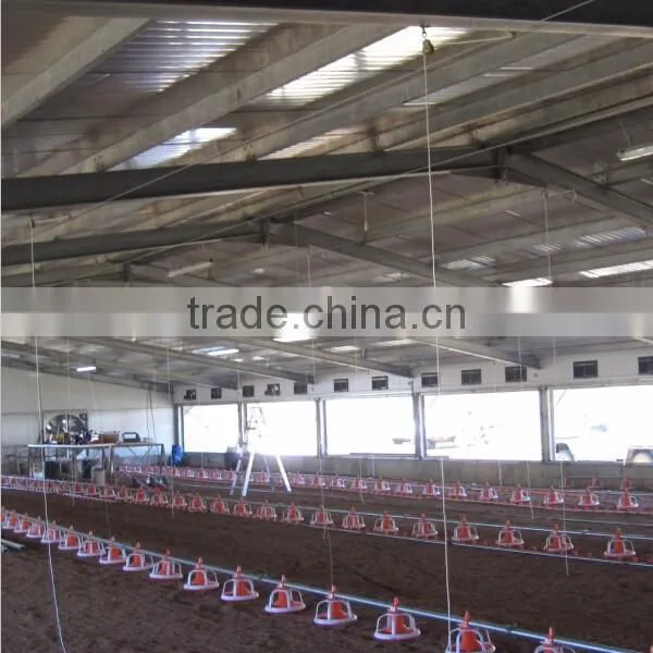 Automatic Chicken Feeder Poultry Chicken Feeding System photo-6