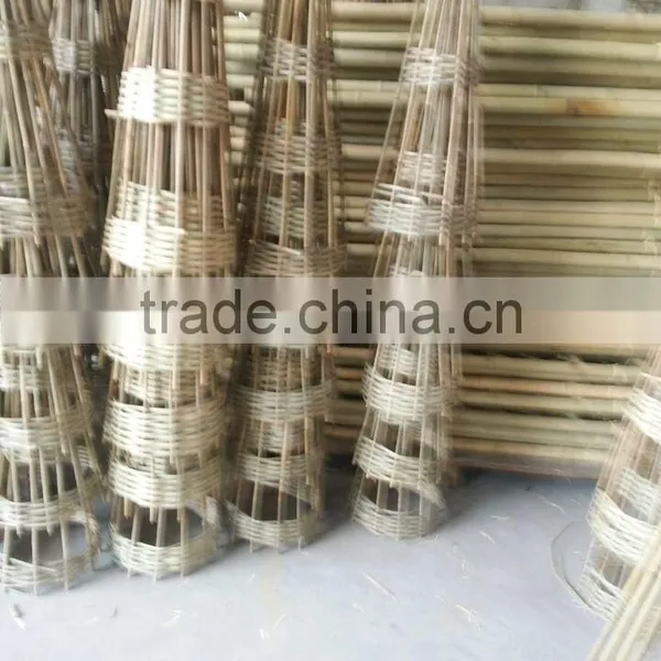 FD - 1510165Conical Flower Seedlings Support Framework