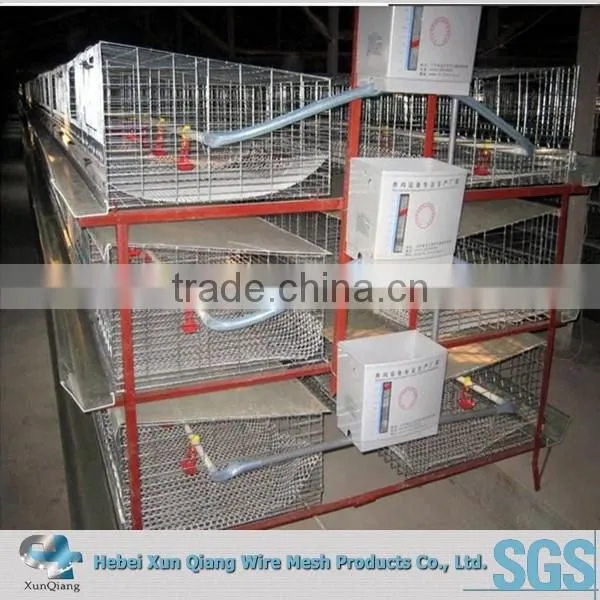 Galvanized Welded Wire Chicken Cages photo-2
