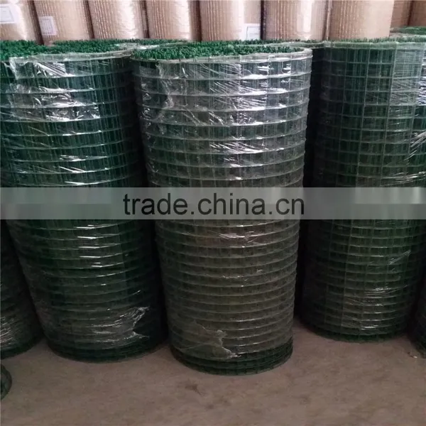 Express 2016 New Products Galvanized Welded Wire Mesh Factory(iso9001 Factory)/Welded Wire Mesh photo-4