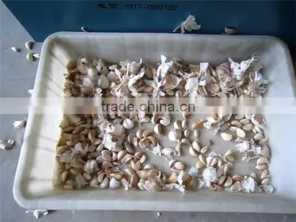 Good Selling Garlic Clove Separator Machine With Factory Price photo-4