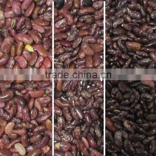 New Technology Ccd Purple Bean Color Sorter Machine photo-2