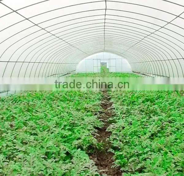Tunnel Plastic Greenhouse Film Agriculture Greenhouse Poly Films photo-2