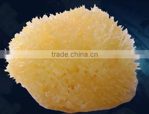 2016 Newest Natural Konjac Sponge for Baby/exfoliator Loofah Bath Sponge photo-6