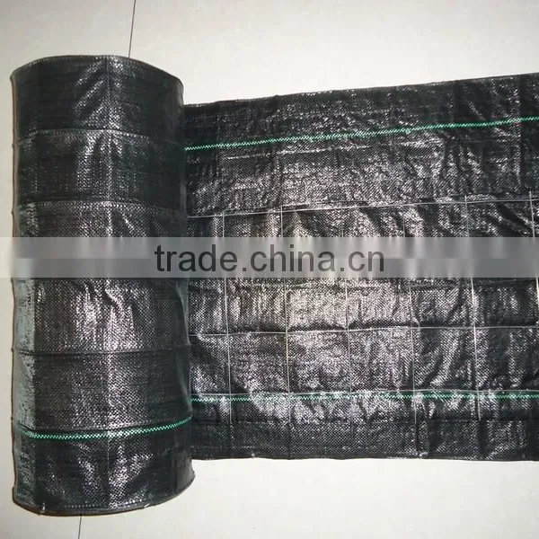 Wire Back Silt Fence photo-2