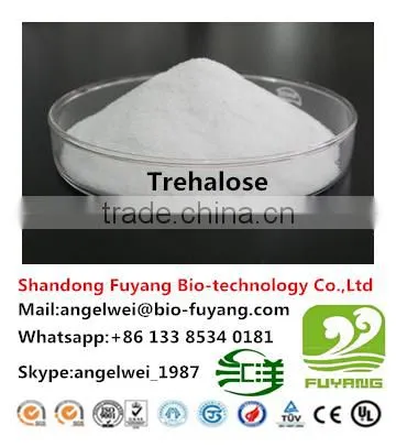 The Biggest Manufacture in China for Trehalose photo-5