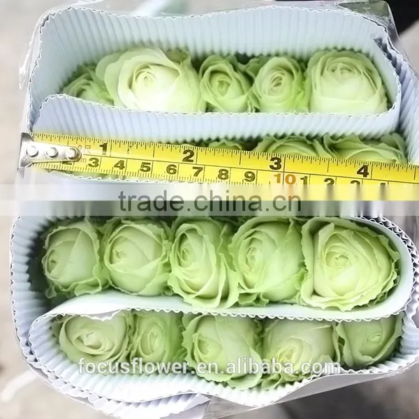 For Valentine's Day Occasion Cut Flowers Rose Fresh Flower Avalanche Flower From Kunming photo-5